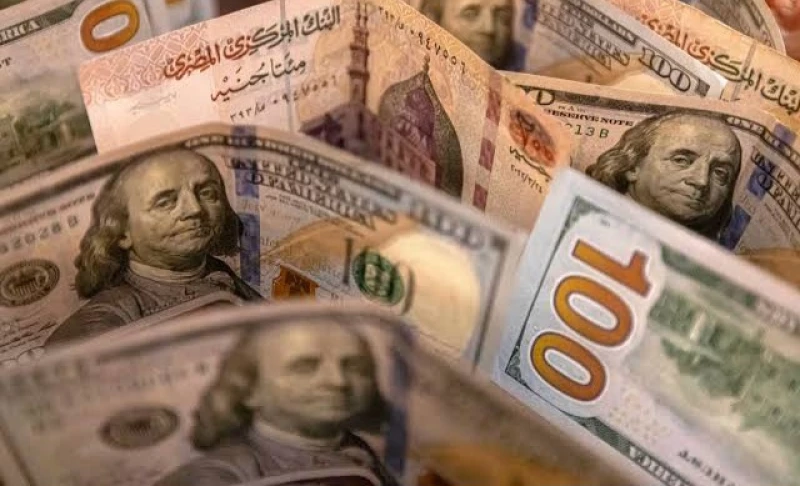 سعر الدولار مقابل الجنيه في السوق السوداء