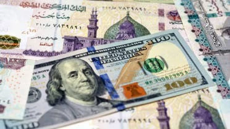 سعر الدولار مقابل الجنيه المصري 