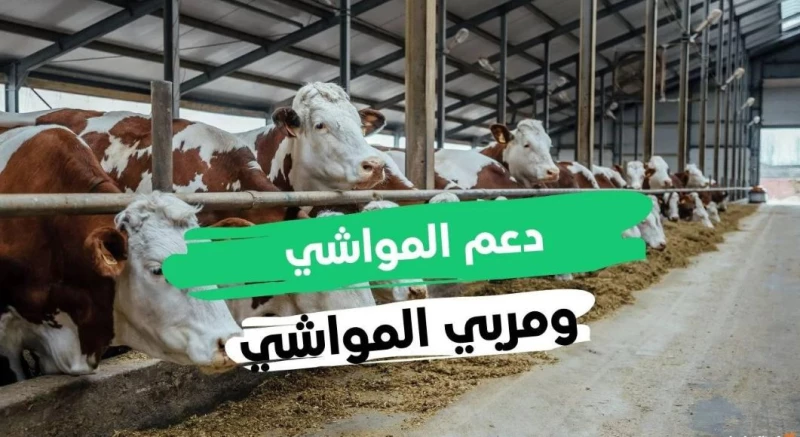 متى ينزل دعم المواشي هذا الشهر